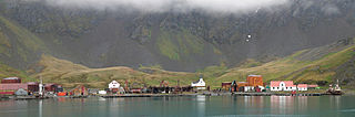 Panorama Grytviken