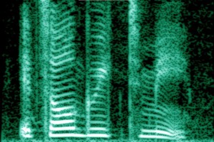640px-Human_voice_spectrogram