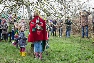 Wassailing to the Trees