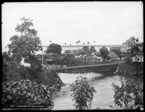 Distant_view_of_the_suburbs_of_Hilo,_Hawaii,_1907_(CHS-427)